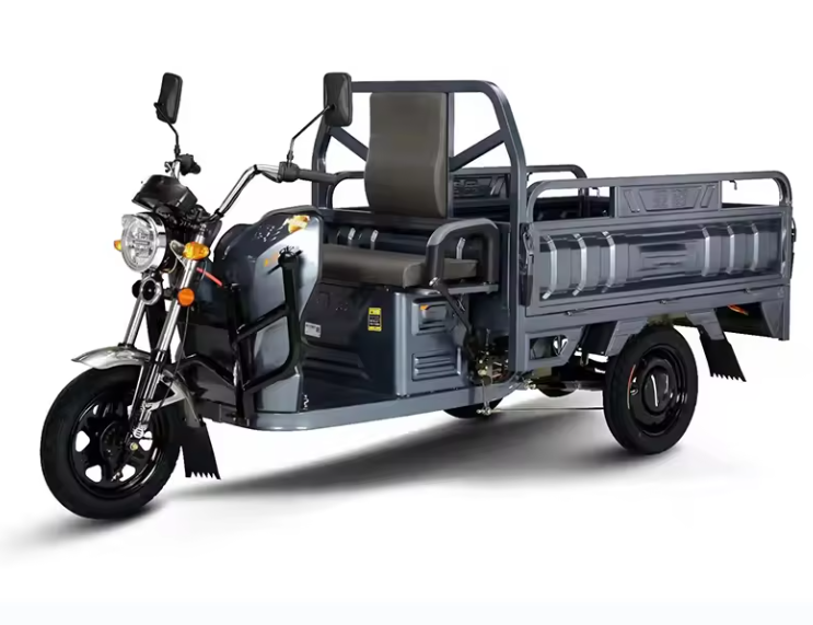 600W cargo tricycle